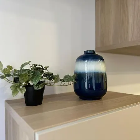 Stylish Newly Renovated Feels Like Second Bucharest